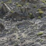 FITS_198 (May 04, 2019)